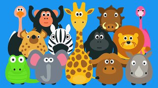 Animaux pour enfants empilage enseignement les tout-petits vidéo sauvage style