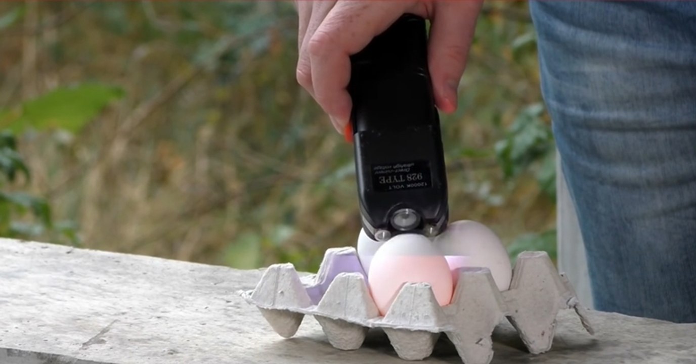 Electricity vs. Egg! A Nice Competition!
