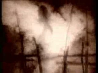 Enigma:  Mea Culpa