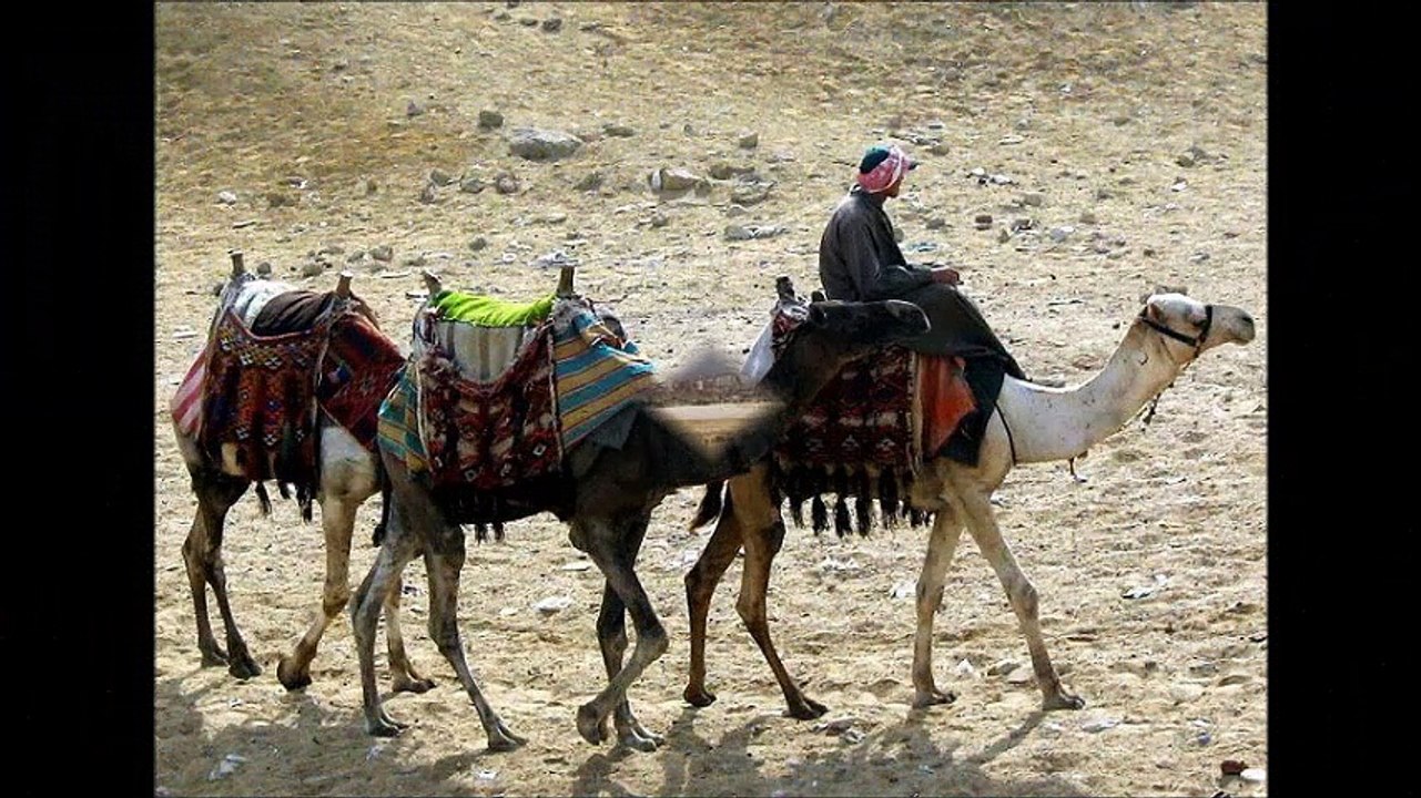 Cairo, Nile Cruise and Hurghada Package