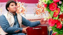 Pashto New Songs 2017  Sad Tapey - Zeeshan Janat Gul  Pashto New HD Songs 2017