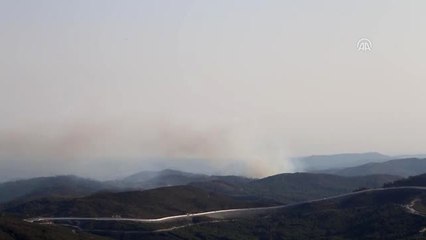 Ormanlar Suriye'deki "Ateşten" Korunuyor
