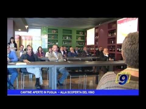 Cantine aperte in Puglia | Alla scoperta del vino