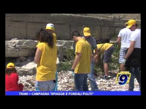Trani | Campagna spiagge e fondali puliti