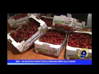 Bari | CIA incontra produttori su danni maltempo alla ciliegia