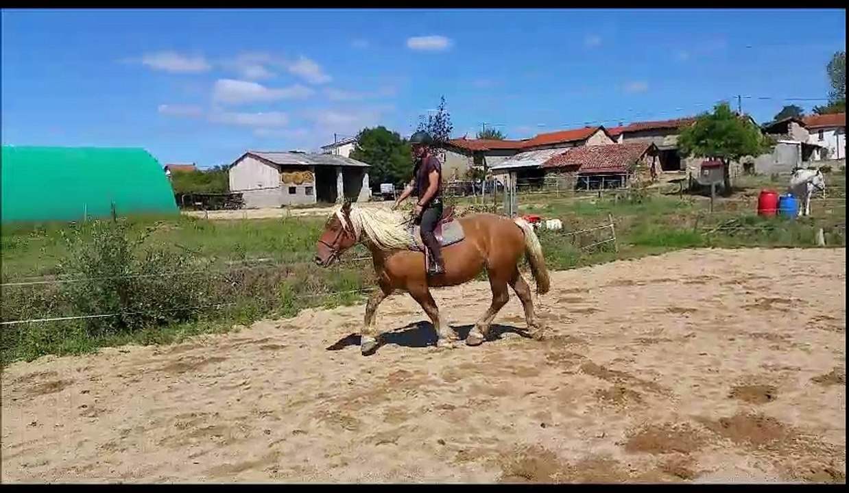 Caline et divine montées