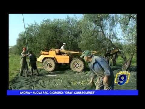 Andria | Nuova PAC, Giorgino: gravi conseguenze