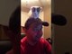 Adorable Kitten Sits on Owner's Head