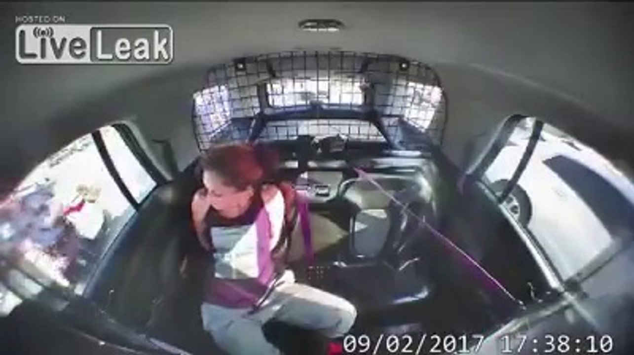 Arrêtée elle vole la voiture de police et se plante en pleine poursuite !