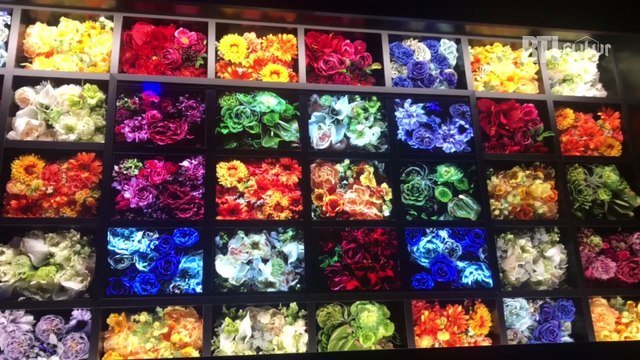 IFA 2017 : les nouveautés technologiques les plus marquantes de la rentrée