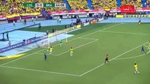 Dog on the pitch in a match of Colombia vs Brazil 1-1