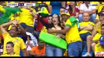 Colombia 1 vs Brazil 1 - copa america