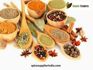 Spice Supplier, Trader & Exporter in Delhi