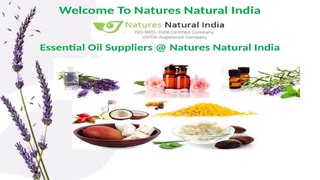 Essential Oil Suppliers @ Natures Natural India