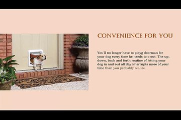 Benifits of Using Electrnic Dog Door