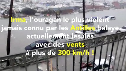 L'ouragan Irma balaye les Antilles avec des vents  à plus de 300 km/h !