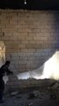 Un homme abat un mur mais ne s’y prend vraiment pas de la bonne façon...