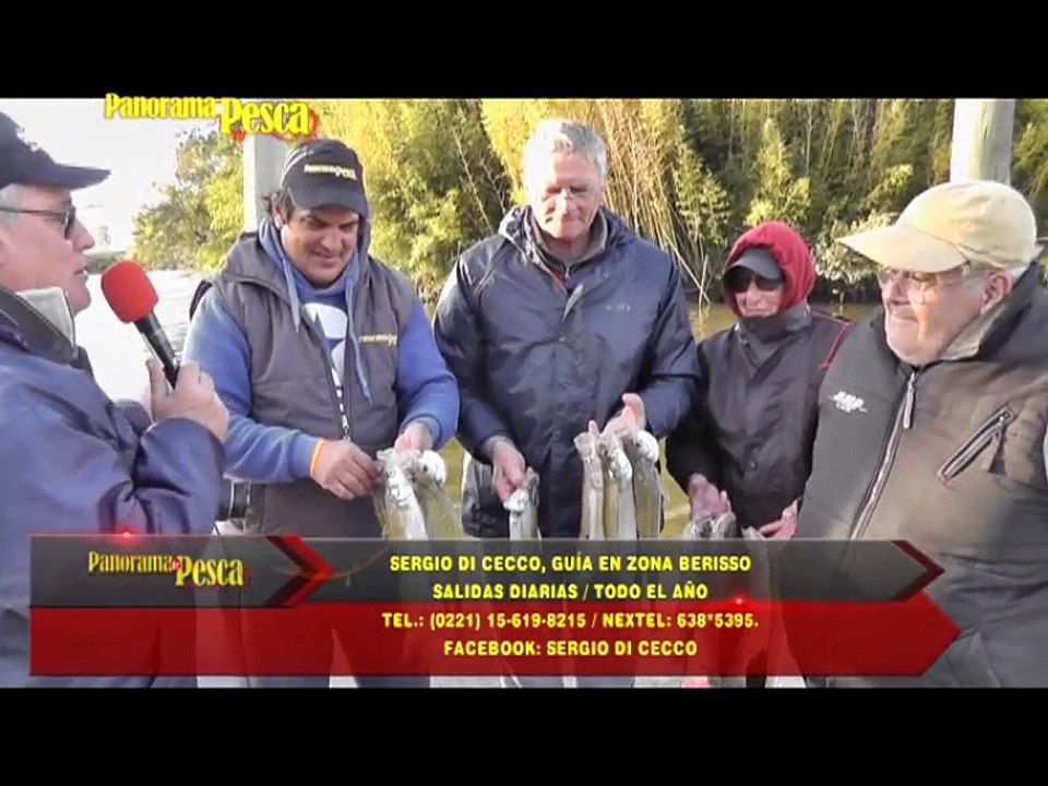Panorama TV 348