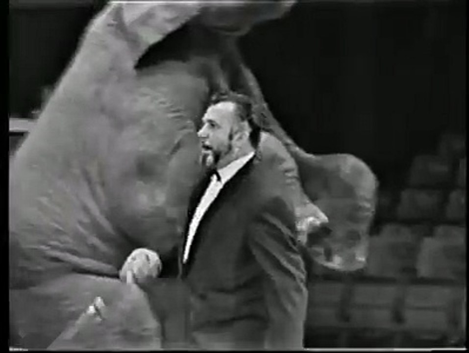 Piste aux étoiles Jean Richard Eléphants