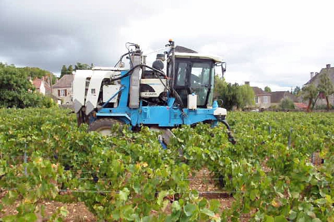Vendanges mécaniques