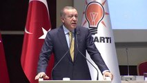 Cumhurbaşkanı Erdoğan: 