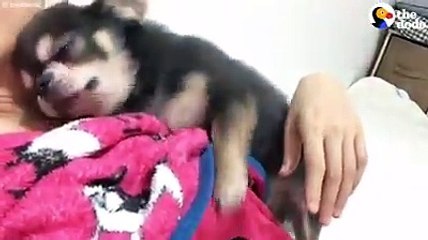 ÇOK GÜZEL BİR GÖRÜNTÜ