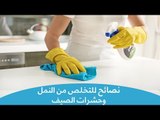 طرق فعالة للتخلص من النمل وحشرات الصيف| Natural ways to get rid of insects in your home