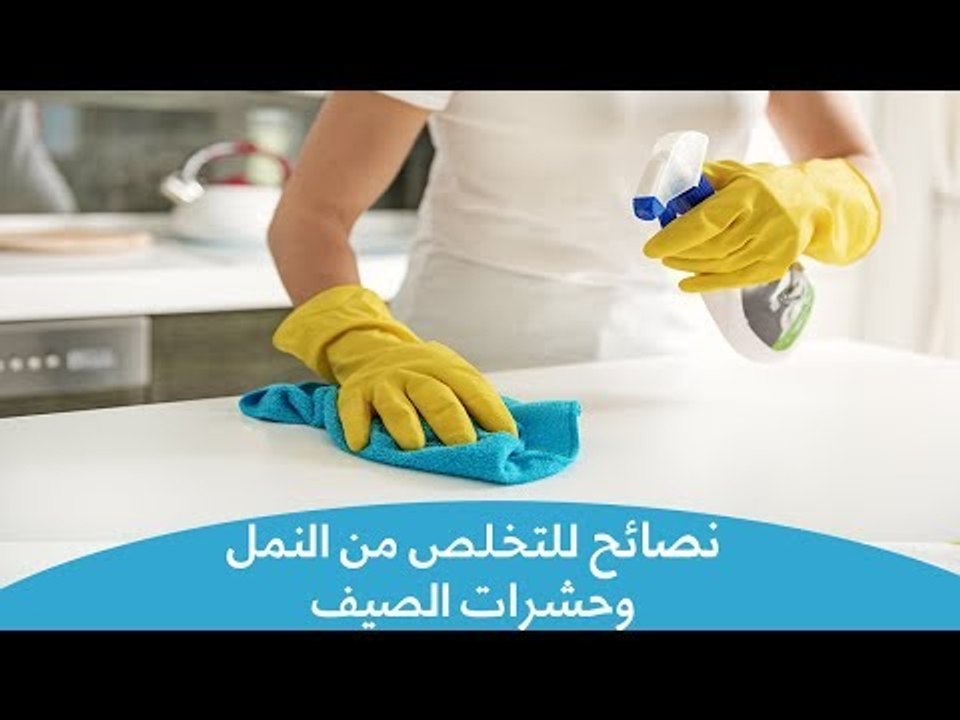 طرق فعالة للتخلص من النمل وحشرات الصيف| Natural...