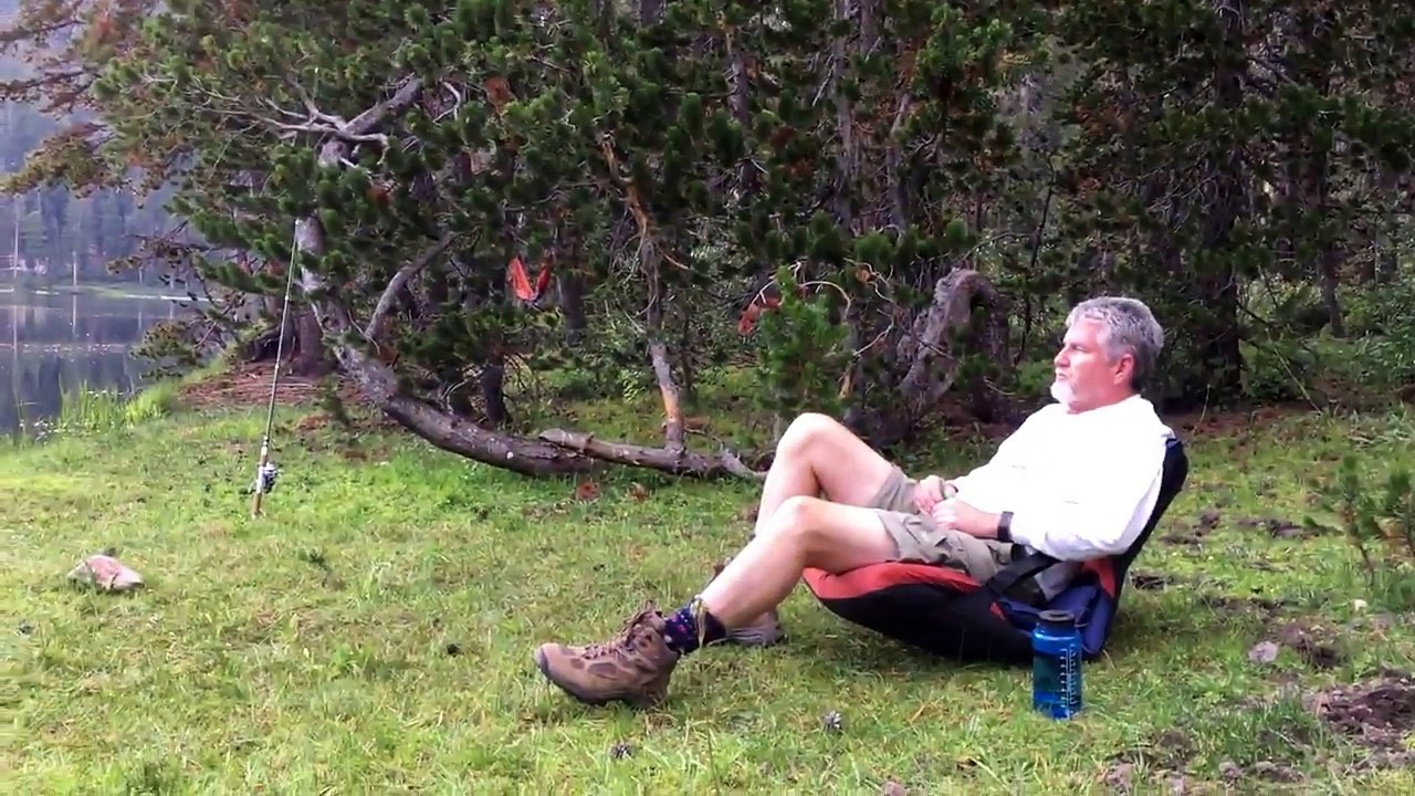 des insectes à la surface d'un lac bougent simultanément