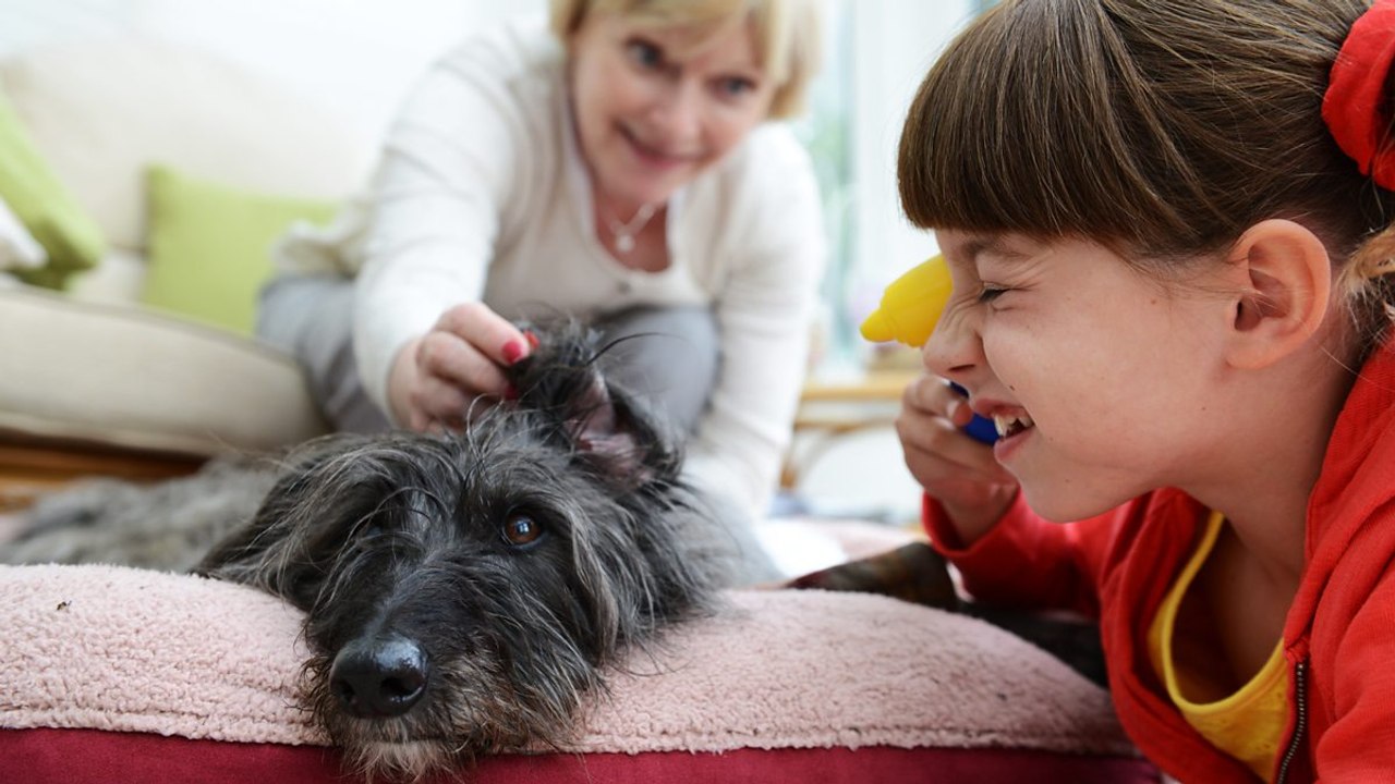 Topsy and Tim -  Two Dogs