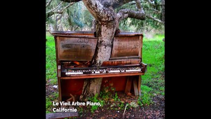 17 photos qui prouvent que rien n'est plus fort que la nature