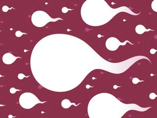 How to Increase Sperm Count
