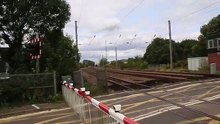 Un train trolle des ferrovipathes
