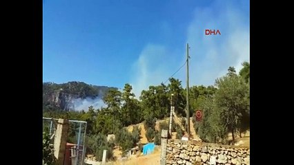 Muğla'da korkutan orman yangını!