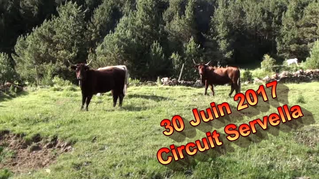 2017.06.30 - Circuit Servella