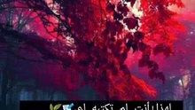 يا رب علمني الا اضيق و لا احزن