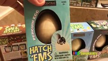 A B C piel de cocodrilo y dinosaurio huevo en creciente escotilla Niños pingüino mascotas sorpresa juguetes tortuga ryan