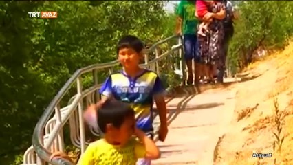 müslimim diyen inse-enların çoğunluğu gerçek putperesttir buraya giden yarı haci oluyormuş