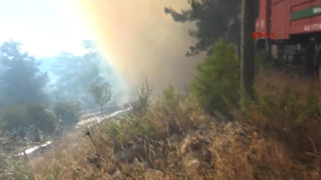 Muğla'nın Menteşe İlçesinde Orman Yangını-5