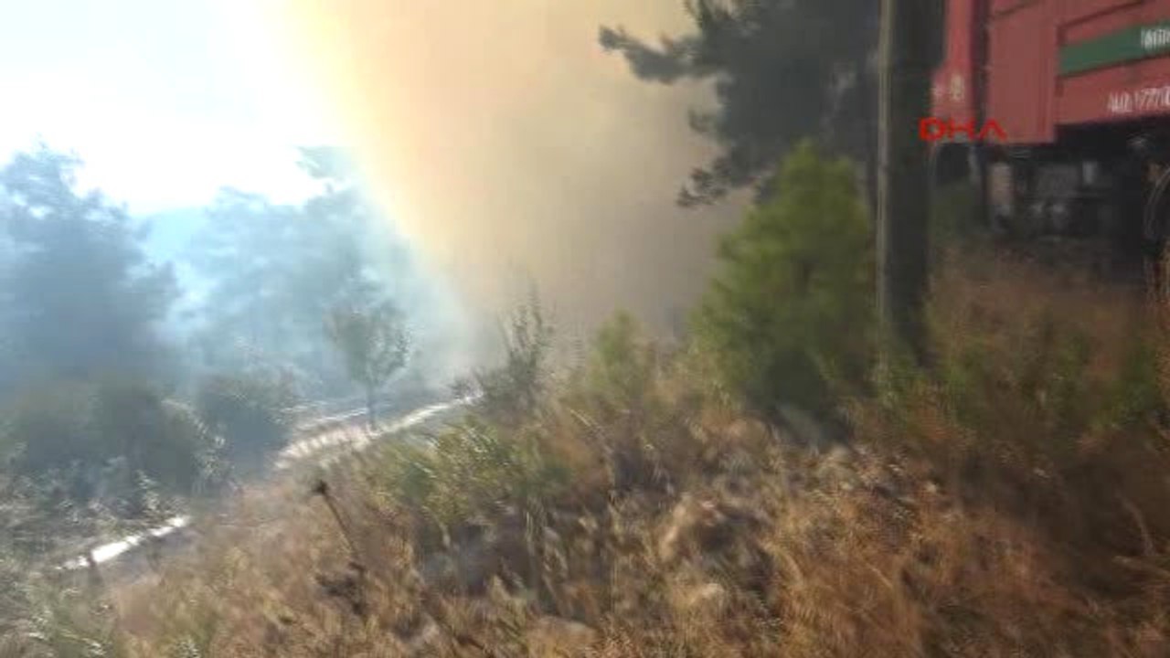 Muğla'nın Menteşe İlçesinde Orman Yangını-5