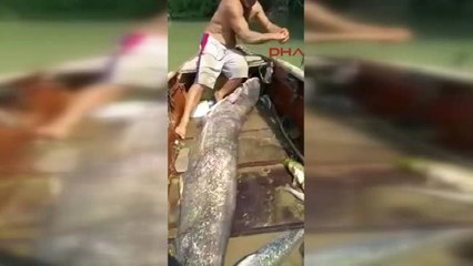 Adana 80 Kiloluk Balık Yakaladılar