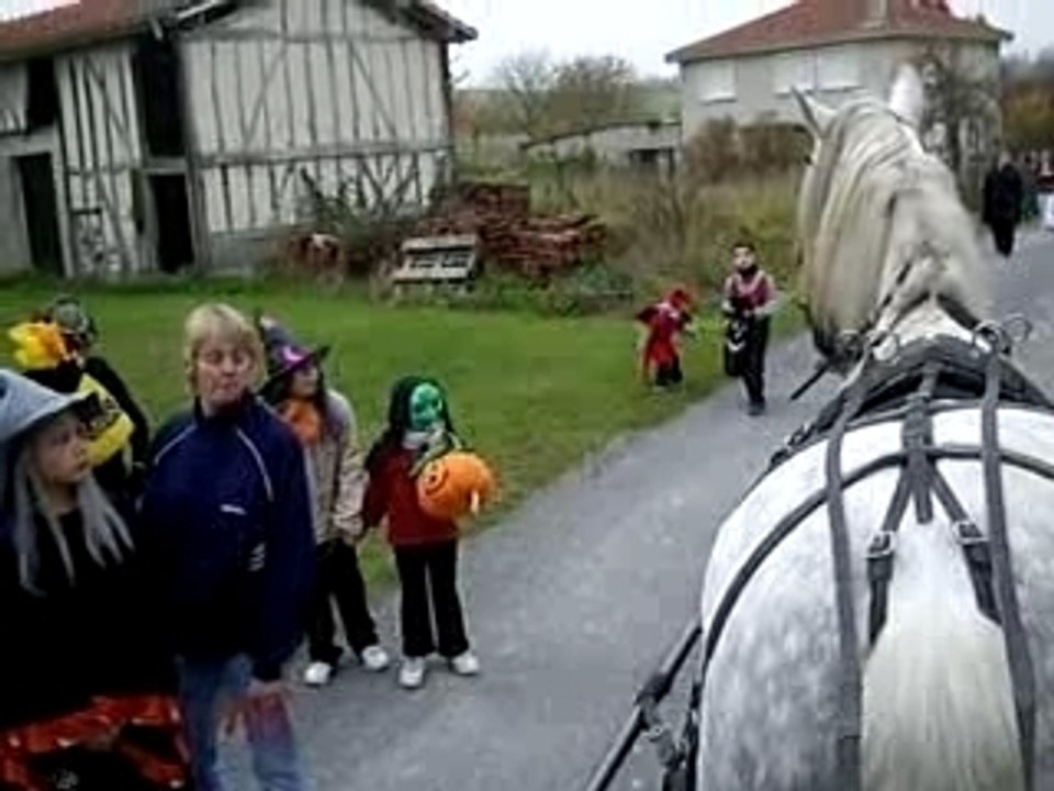 Halloween et Gringo