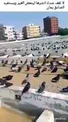 تذكر والدك بعد موته