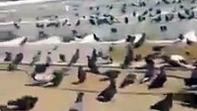 تذكر والدك بعد موته