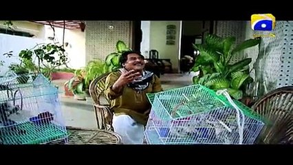 Sultana Kunji Wali – Episode 1 - Har Pal Geo