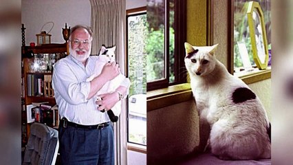 12 Imágenes Famosas De Internet Que Son Falsas