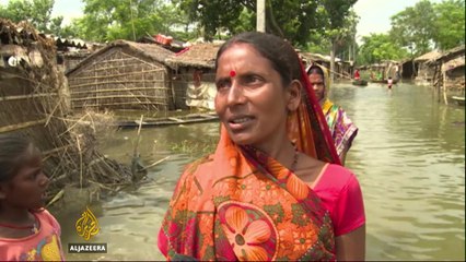 Environmental fears over India's plan to stop flooding