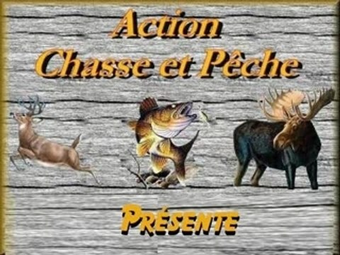 chasse aux lapins