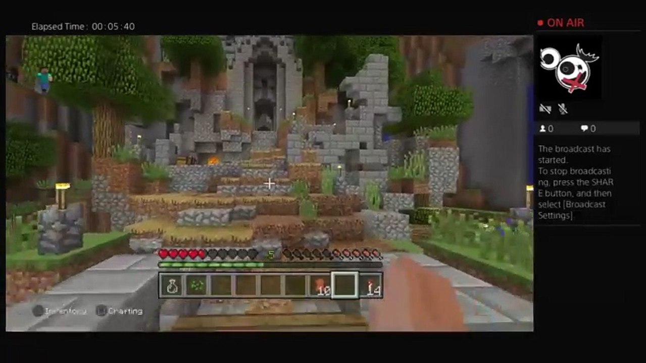 Playing Minecraft (3)