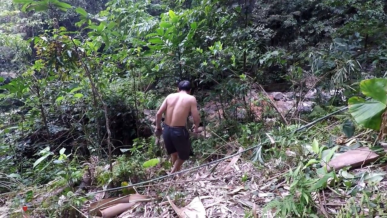 Primitive Technology- Foraging For Food